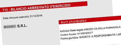 Esempio Bilancio di Impresa Ufficiale