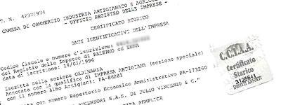 Esempio Certificato Camerale storico