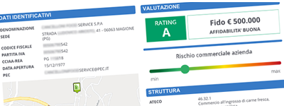 Esempio Informazioni Aziendali Standard