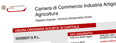 Esempio Visura Camera di Commercio Ordinaria